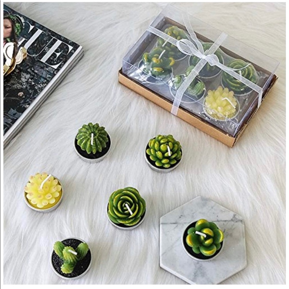 🌱NWT Succulent Candles🌱 - Picture 2 of 5